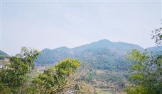 今日矿石开采加工企业宝地矿业正式登陆A股