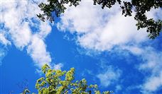 两会好声音集合|“绿色低碳”成为提案的高频词