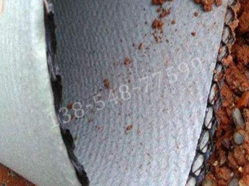 复合排水网施工(图1) 1-210926152KC24.jpg