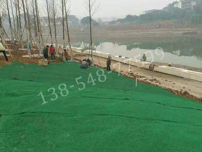 三维植被网施工(图1)