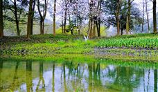 水利部印发《关于加强水资源配置工程水资源刚性约束论证和审查的通知》