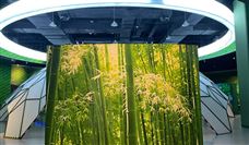 工信部等四部门联合印发《关于深入推进黄河流域工业绿色发展的指导意见》