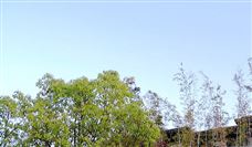 今年以来全国煤炭产量创历史新高