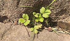 徐矿集团出台数字化顶层规划致力打造“数智徐矿”