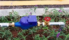 南水进京超90亿立方米 水厂日均取水量创新高