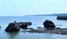 钢壳混凝土沉管隧道！海螺水泥助力深中通道建设