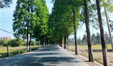 关于湖南省2024年中央财政提前批以工代赈任务计划拟支持项目的公示