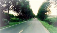 点燃智能制造引擎 柳工助推“全面智能化”战略落地