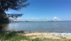 早报|ChatGPT首次设计出类脑AI芯片并已开始制造；首个烹饪AI大模型即将发布