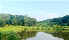 最新消息！白鹤滩水电站全面进入运行期