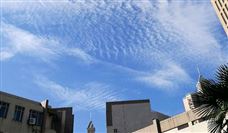 数字领航！中联重科再获湖南省制造业数字化转型多项殊荣