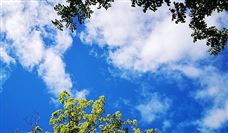 柞村镇矿山之约：探索矿山潜力，开启投资新征程