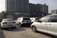 2024年机动车污染防治行业评述和2025年发展展望
