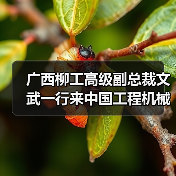 广西柳工高级副总裁文武一行来中国工程机械工业协会进行工作交流(图3) 广西柳工高级副总裁文武一行来中国工程机械工业协会进行工作交流(图3)