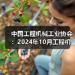 中国工程机械工业协会:2024年10月工程机械市场指数快报(图3) 中国工程机械工业协会:2024年10月工程机械市场指数快报(图3)