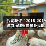 我司获评“2018-2019年度福建省建筑业先进企业”称号(图4) 我司获评“2018-2019年度福建省建筑业先进企业”称号(图4)