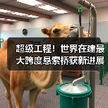 超级工程!世界在建最大跨度悬索桥获新进展:跨江段全长7859米(图4) 超级工程!世界在建最大跨度悬索桥获新进展:跨江段全长7859米(图4)