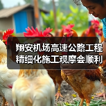 翔安机场高速公路工程精细化施工观摩会顺利召开（图2）