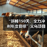 “拼搏150天,全力冲刺年度目标”义乌项目隧道右洞顺利贯通(图4) “拼搏150天,全力冲刺年度目标”义乌项目隧道右洞顺利贯通(图4)