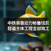 中铁装备助力秘鲁钱凯隧道主体工程全部完工（图4）