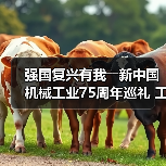 强国复兴有我――新中国机械工业75周年巡礼 工程机械协会篇(图4) 强国复兴有我――新中国机械工业75周年巡礼 工程机械协会篇(图4)