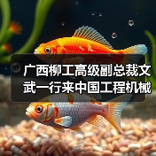 广西柳工高级副总裁文武一行来中国工程机械工业协会进行工作交流（图2）