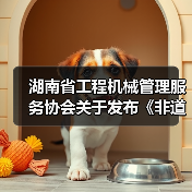 湖南省工程机械管理服务协会关于发布《非道路移动工程机械二手设备评估通则》团体标准的公告（图2）