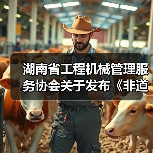 湖南省工程机械管理服务协会关于发布《非道路移动工程机械二手设备评估通则》团体标准的公告（图4）