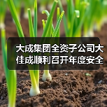 大成集团全资子公司大佳成顺利召开年度安全工作及管理评审会议（图4）