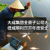 大成集团全资子公司大佳成顺利召开年度安全工作及管理评审会议（图3）