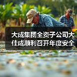 大成集团全资子公司大佳成顺利召开年度安全工作及管理评审会议（图2）