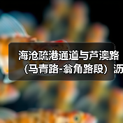 海沧疏港通道与芦澳路（马青路-翁角路段）沥青路面及剩余附属工程项目顺利召开第一次工地例会（图4）
