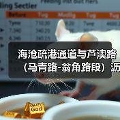 海沧疏港通道与芦澳路（马青路-翁角路段）沥青路面及剩余附属工程项目顺利召开第一次工地例会（图2）