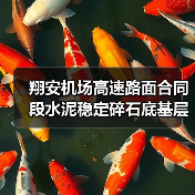 翔安机场高速路面合同段水泥稳定碎石底基层试验段顺利摊铺(图3) 翔安机场高速路面合同段水泥稳定碎石底基层试验段顺利摊铺(图3)