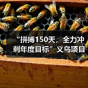 “拼搏150天,全力冲刺年度目标”义乌项目隧道实现双向贯通(图2) “拼搏150天,全力冲刺年度目标”义乌项目隧道实现双向贯通(图2)