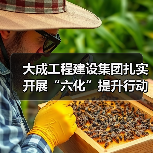 大成工程建设集团扎实开展“六化”提升行动推动高质量发展（图3）