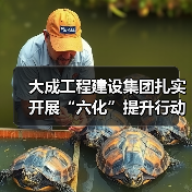 大成工程建设集团扎实开展“六化”提升行动推动高质量发展（图4）