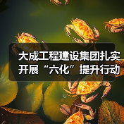 大成工程建设集团扎实开展“六化”提升行动推动高质量发展（图2）