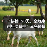 “拼搏150天,全力冲刺年度目标”义乌项目隧道右洞顺利贯通(图3) “拼搏150天,全力冲刺年度目标”义乌项目隧道右洞顺利贯通(图3)