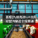 喜报|九绵高速LJ4合同段甘沟隧道全线贯通（图3）