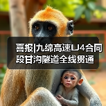 喜报|九绵高速LJ4合同段甘沟隧道全线贯通（图2）