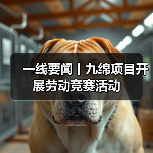 一线要闻丨九绵项目开展劳动竞赛活动（图2）