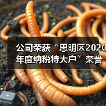 公司荣获“思明区2020年度纳税特大户”荣誉称号（图3）