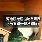海沧疏港通道与芦澳路（马青路—翁角路段）沥青路面及剩余附属工程项目经理部举行揭牌仪式（图3）