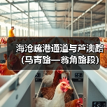 海沧疏港通道与芦澳路（马青路—翁角路段）沥青路面及剩余附属工程项目经理部举行揭牌仪式（图2）