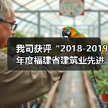 我司获评“2018-2019年度福建省建筑业先进企业”称号（图3）