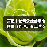 喜报丨我司承建的屏南项目顺利通过交工验收（图4）