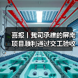 喜报丨我司承建的屏南项目顺利通过交工验收（图2）