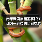 南平武夷集团董事长江训强一行莅临我司交流指导（图1）