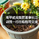 南平武夷集团董事长江训强一行莅临我司交流指导（图2）